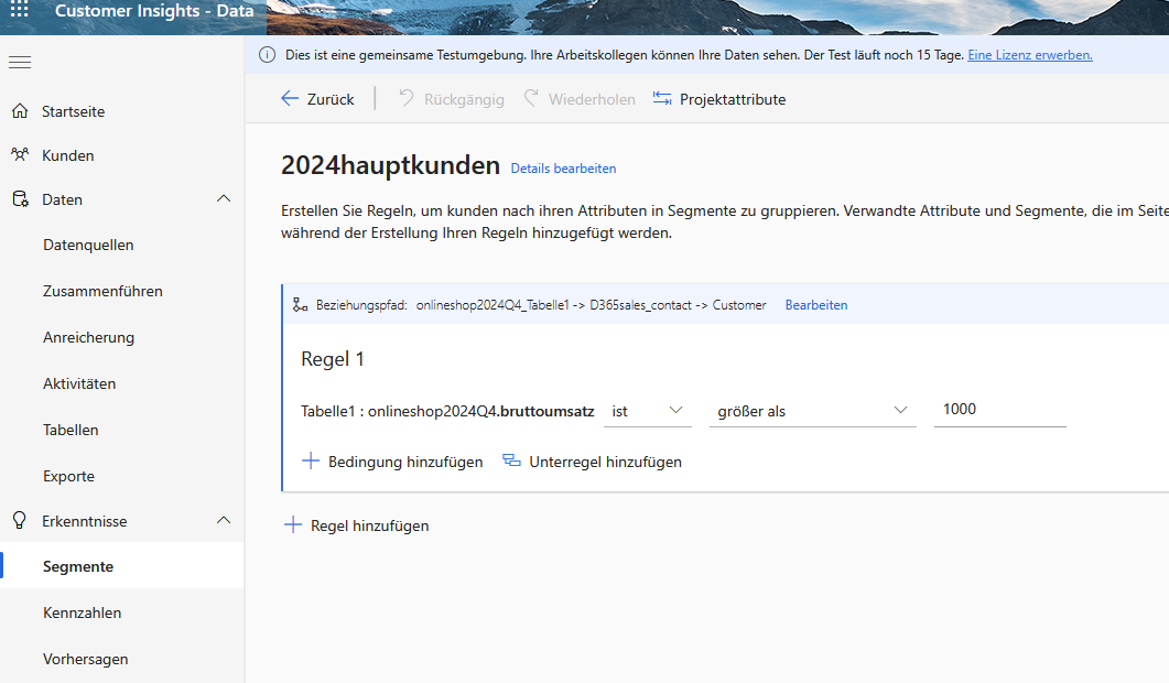 Customer Insights Data Segmentierung