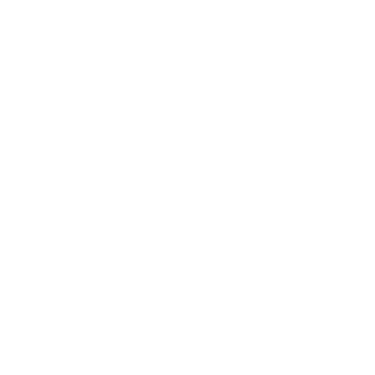 Relution: datenschutzkonform | audius