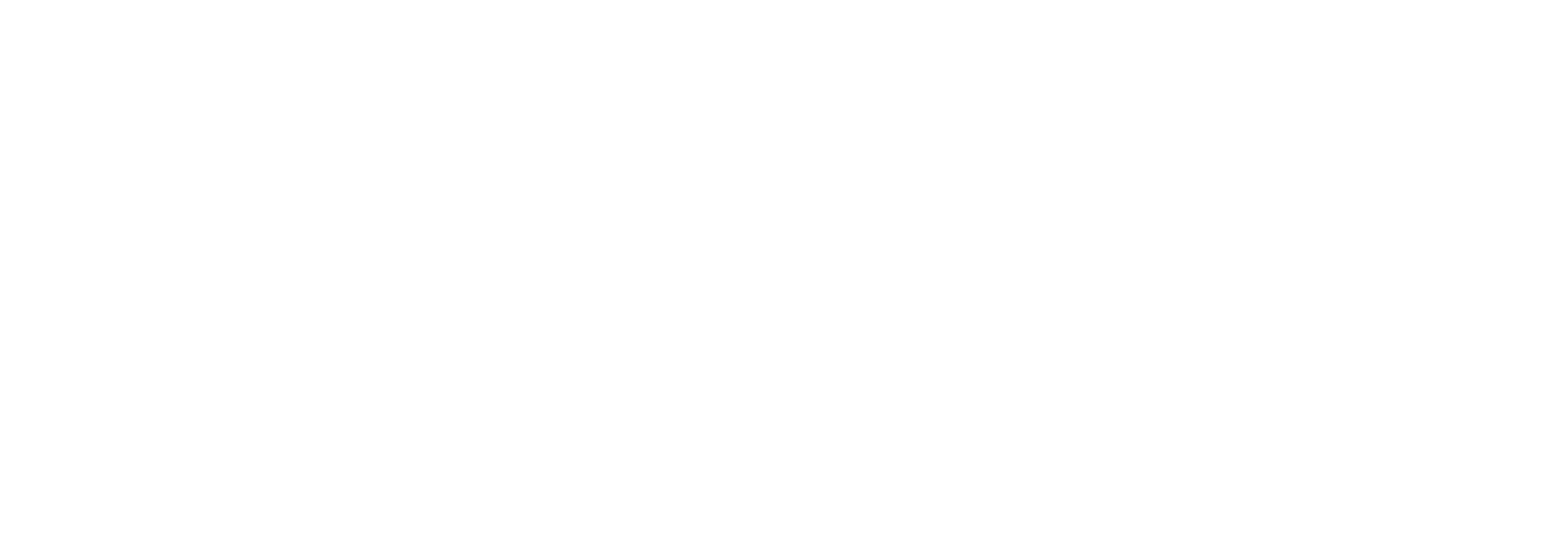 CompuSafe Data Systems AG