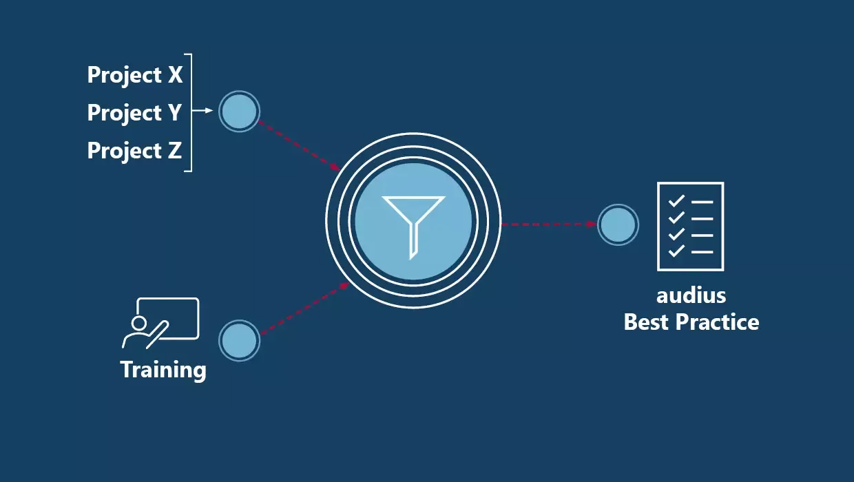 Infografik zur audius EMM Best Practice: Erfahrung aus abgeschlossenen Projekten und Trainings fließt in eine geprüfte, standardisierte Lösung ein.